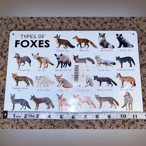 Amazon White Foxes Wall Art Chart with Multicolor Illustrations